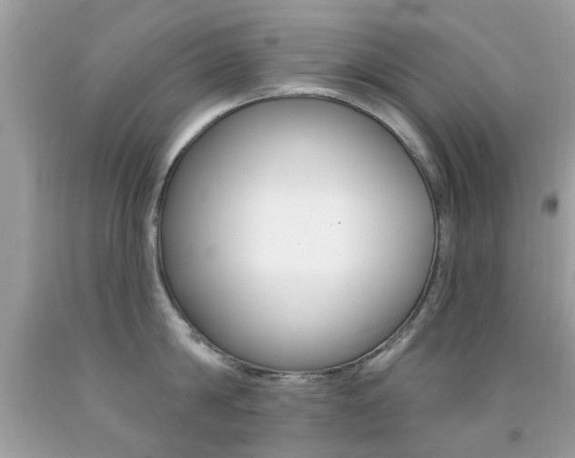 X0000092080814200709121104