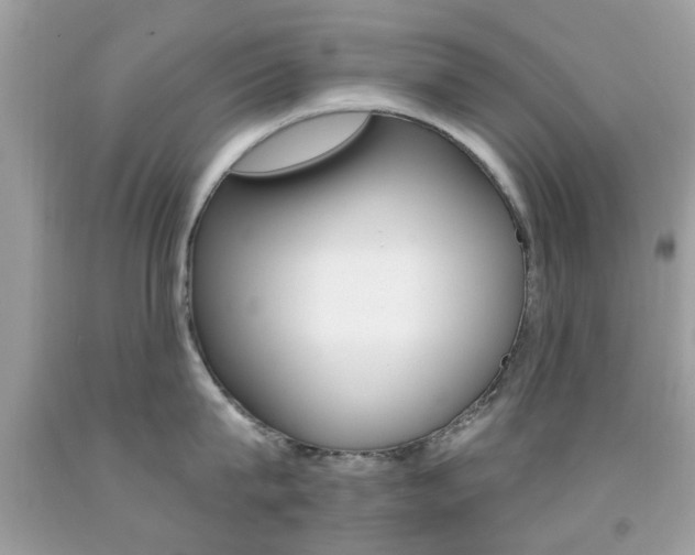 X0000092080815200709121104