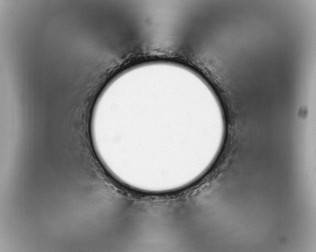 X0000092080817200709121104