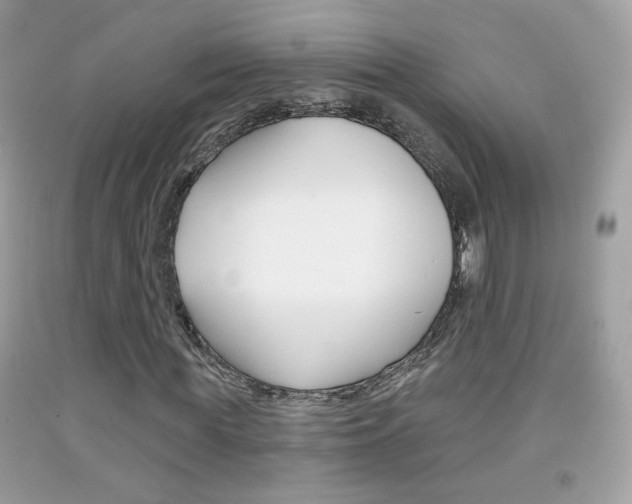 X0000092080819200709121104