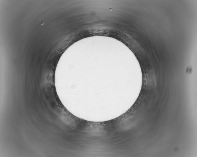 X0000092080820200709121104