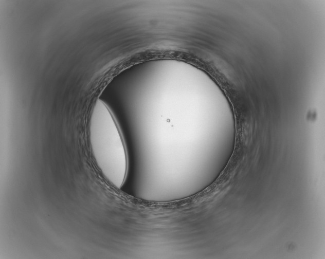 X0000092080821200709121104