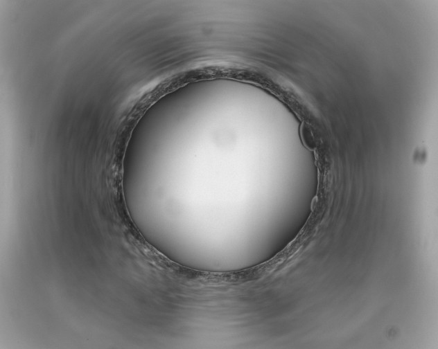 X0000092080822200709121104