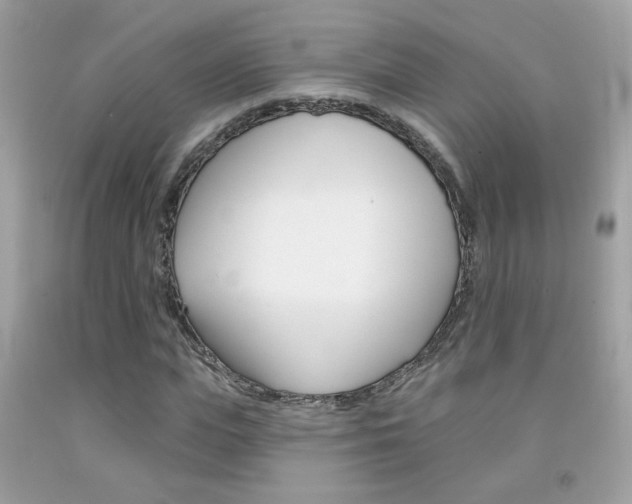 X0000092080823200709121104