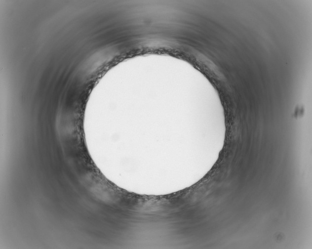 X0000092080824200709121104