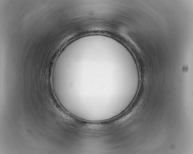 X0000092080825200709121104