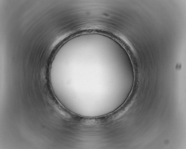 X0000092080826200709121104