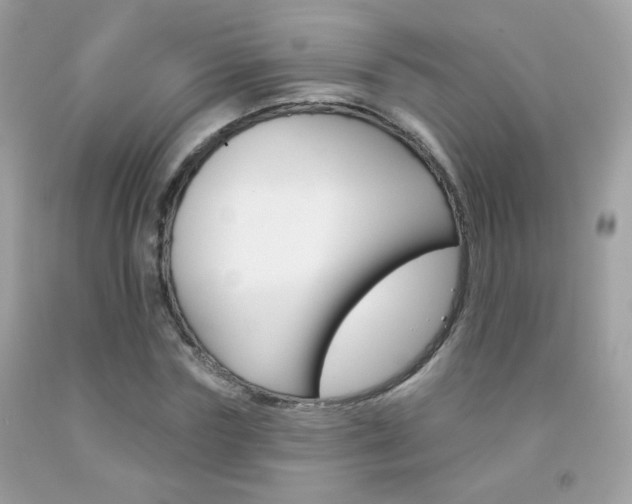 X0000092080827200709121104