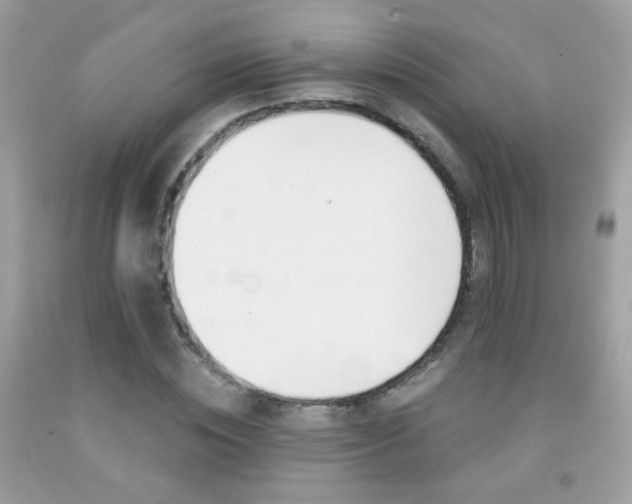 X0000092080828200709121104