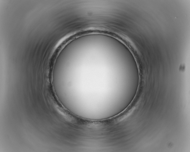 X0000092080830200709121104