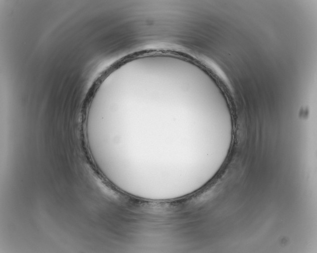 X0000092080831200709121104