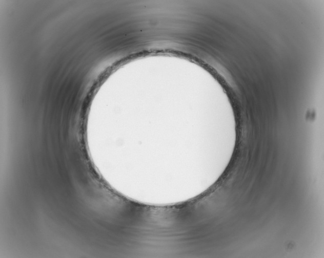 X0000092080832200709121104