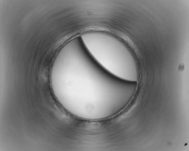 X0000092080833200709121104