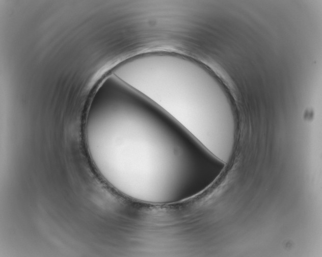 X0000092080834200709121104