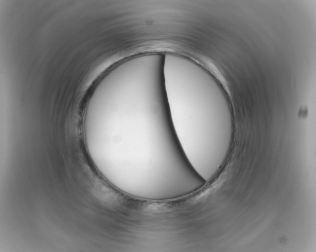 X0000092080835200709121104