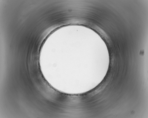 X0000092080836200709121104