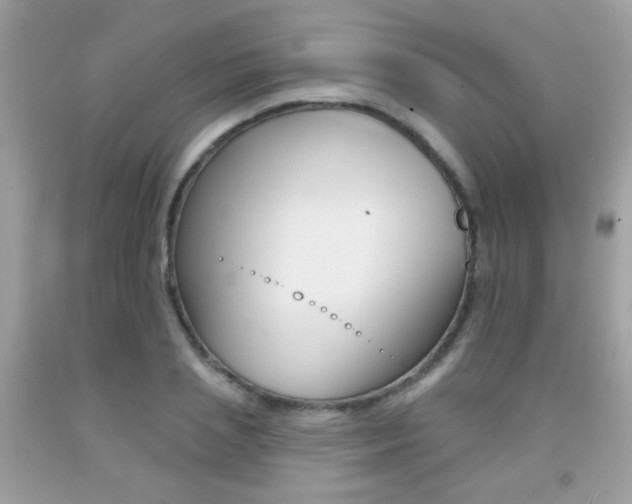 X0000092080837200709121104