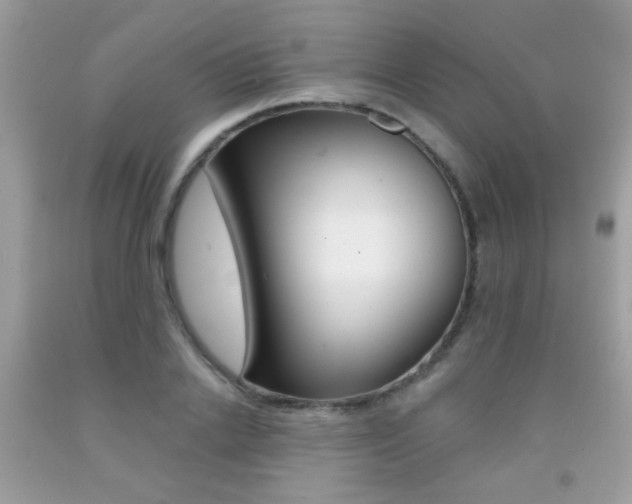 X0000092080838200709121104
