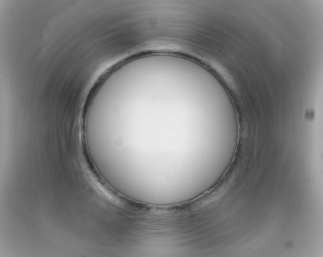 X0000092080840200709121104