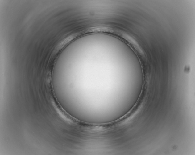 X0000092080841200709121104