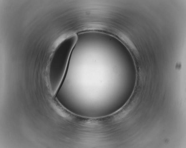 X0000092080842200709121104