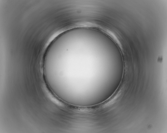 X0000092080843200709121104