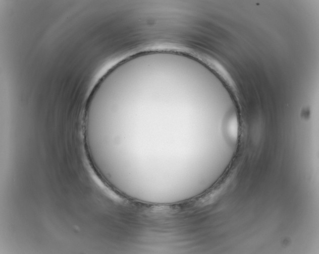 X0000092080847200709121104