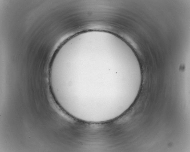X0000092080848200709121104