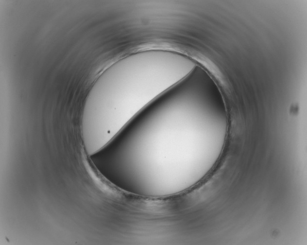X0000092080849200709121104