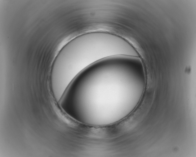 X0000092080850200709121104