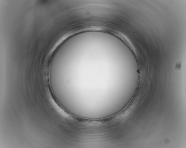 X0000092080851200709121104
