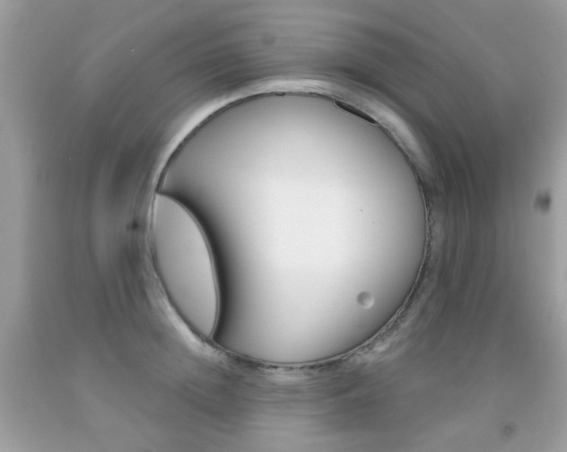 X0000092080852200709121104