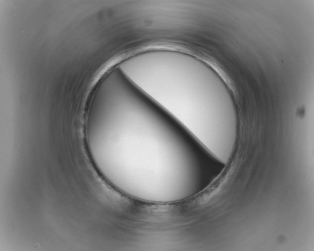 X0000092080853200709121104