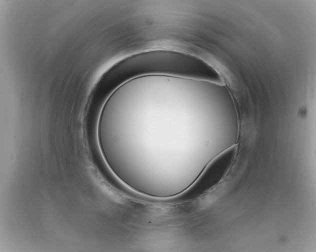 X0000092080854200709121104