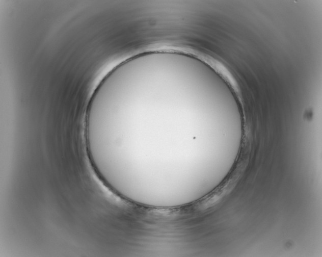 X0000092080855200709121104