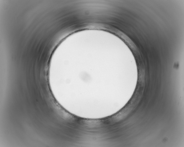 X0000092080856200709121104