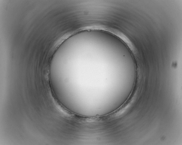 X0000092080857200709121104