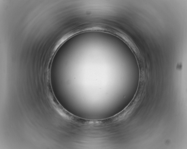 X0000092080858200709121104
