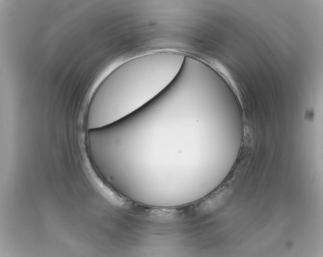 X0000092080859200709121104