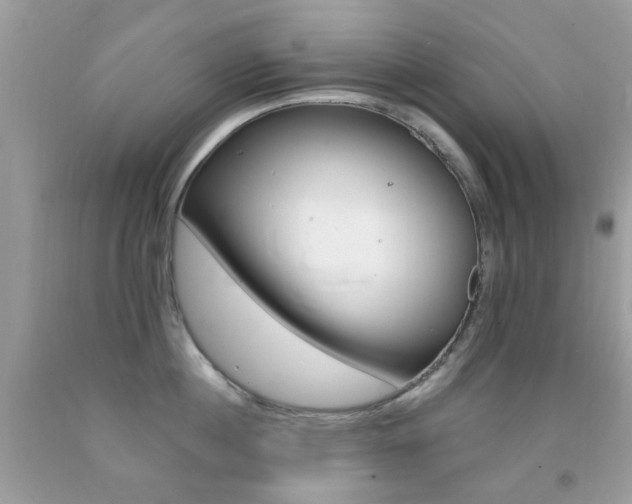 X0000092080860200709121104