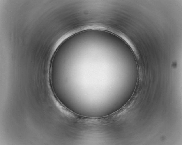 X0000092080861200709121104