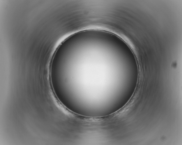 X0000092080862200709121104