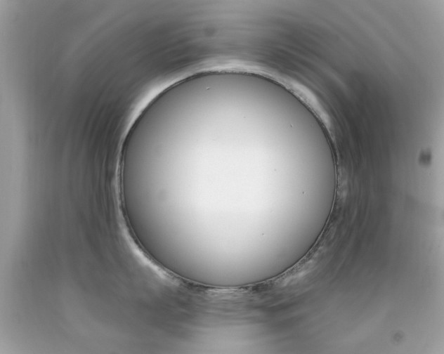 X0000092080863200709121104