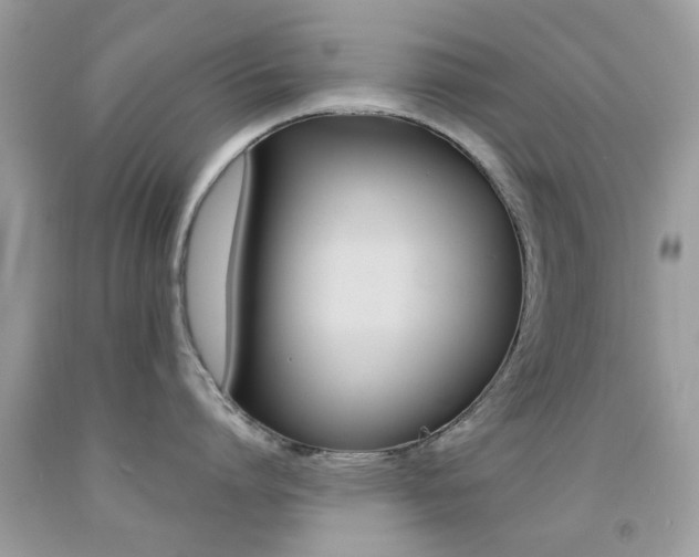 X0000092080864200709121104