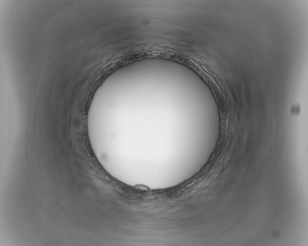 X0000092080865200709121104