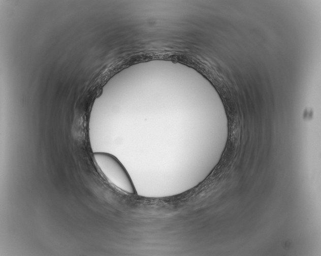 X0000092080866200709121104