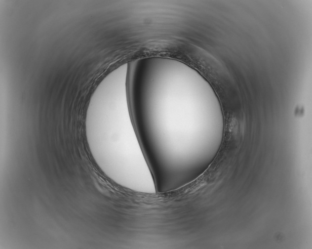 X0000092080868200709121103