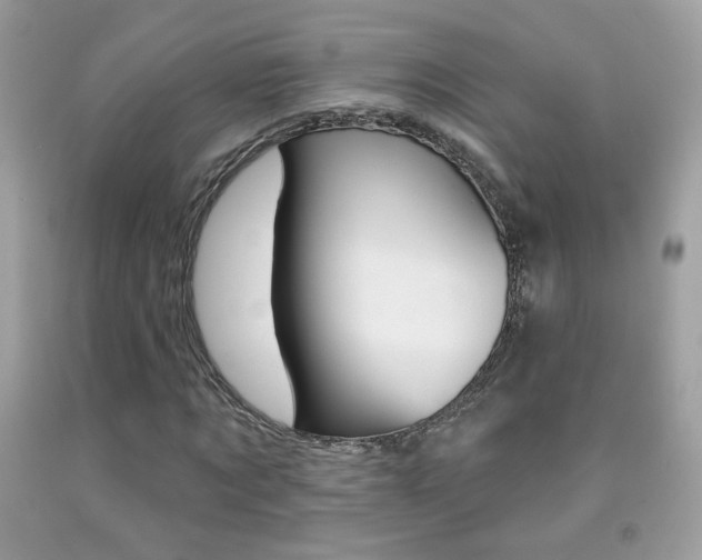X0000092080869200709121103