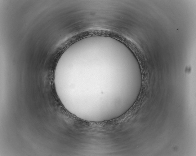 X0000092080870200709121103
