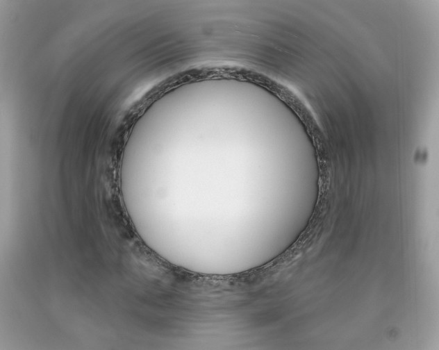 X0000092080871200709121103